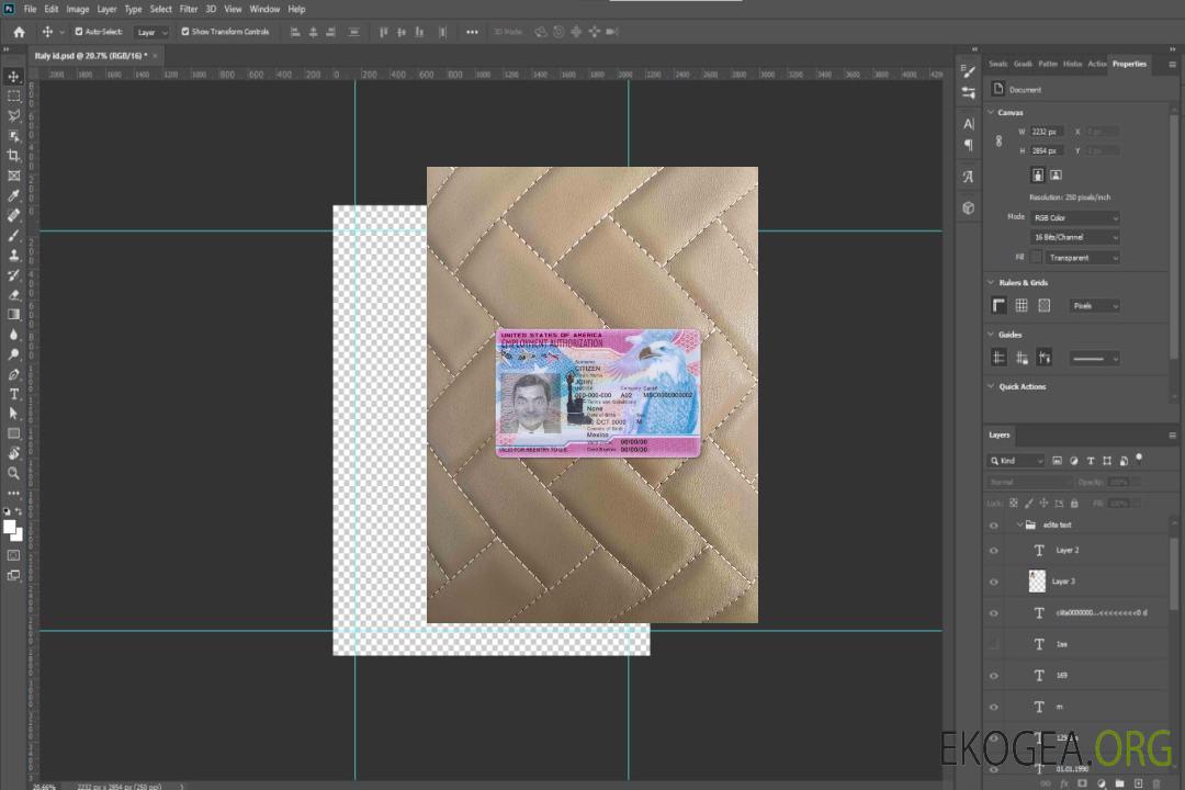 Photolook autorisation de travail aux États-Unis template Photolook autorisation de travail aux États-Unis template